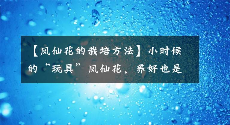 【凤仙花的栽培方法】小时候的“玩具”凤仙花，养好也是真简单，注意5要点，年年爆花