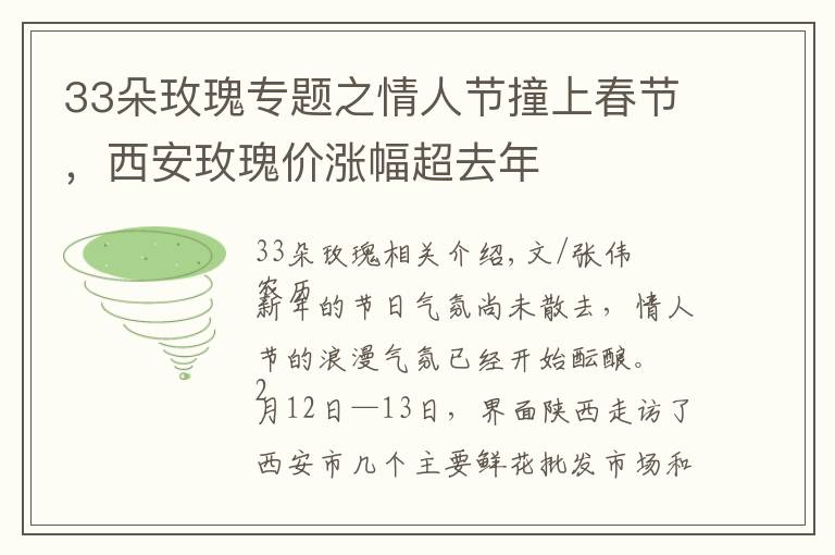 33朵玫瑰专题之情人节撞上春节，西安玫瑰价涨幅超去年