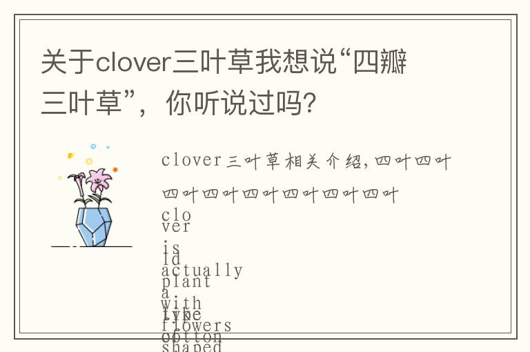 关于clover三叶草我想说“四瓣三叶草”，你听说过吗？