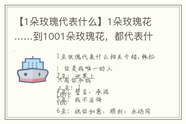 【1朵玫瑰代表什么】1朵玫瑰花……到1001朵玫瑰花，都代表什么，你知道吗？