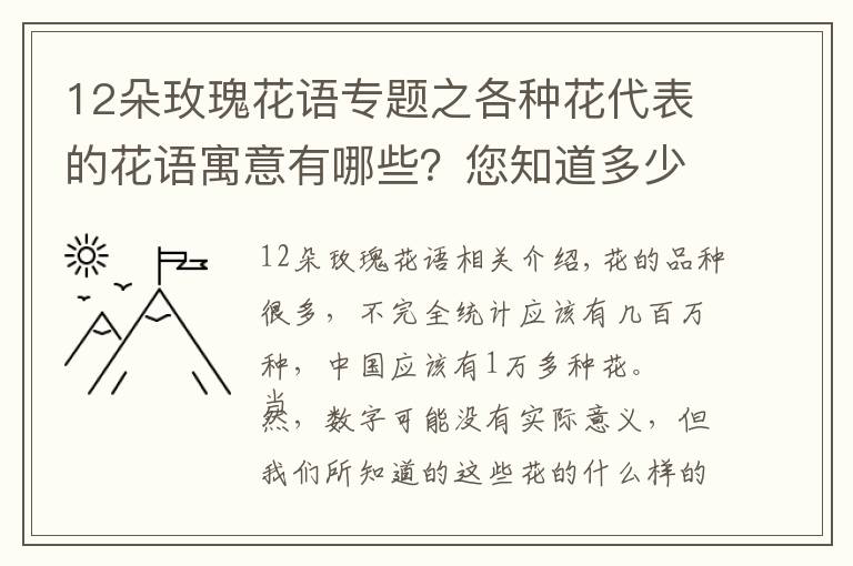 12朵玫瑰花语专题之各种花代表的花语寓意有哪些？您知道多少呢