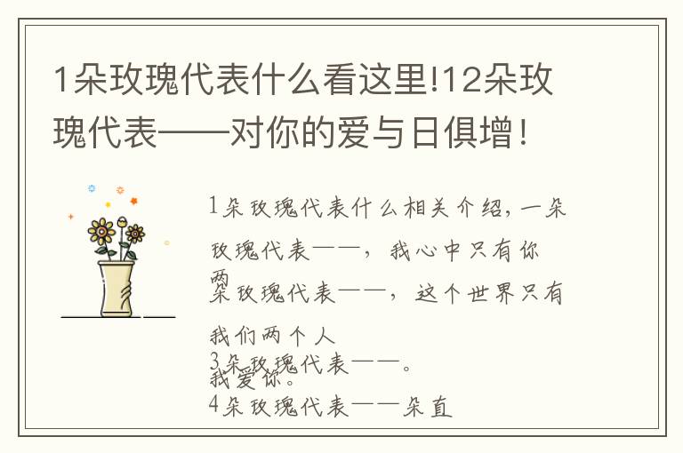 1朵玫瑰代表什么看这里!12朵玫瑰代表——对你的爱与日俱增！