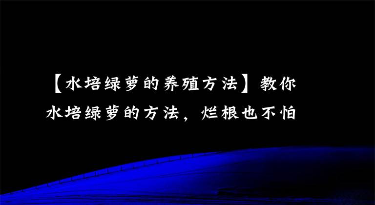 【水培绿萝的养殖方法】教你水培绿萝的方法，烂根也不怕，还可以接着长！