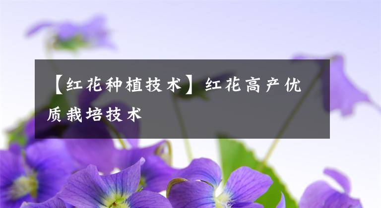 【红花种植技术】红花高产优质栽培技术