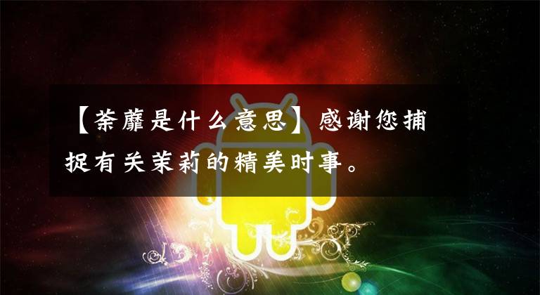 【荼蘼是什么意思】感谢您捕捉有关茉莉的精美时事。文章配图