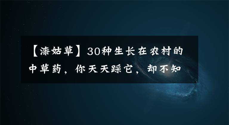 【漆姑草】30种生长在农村的中草药，你天天踩它，却不知它的神奇功效！