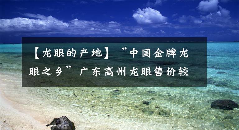 【龙眼的产地】“中国金牌龙眼之乡”广东高州龙眼售价较去年涨逾三成