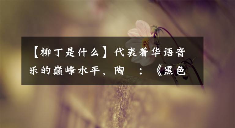 【柳丁是什么】代表着华语音乐的巅峰水平，陶喆：《黑色柳丁》！