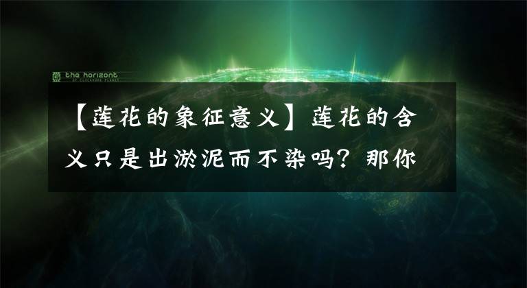 【莲花的象征意义】莲花的含义只是出淤泥而不染吗？那你把莲花想得太简单，都想错了