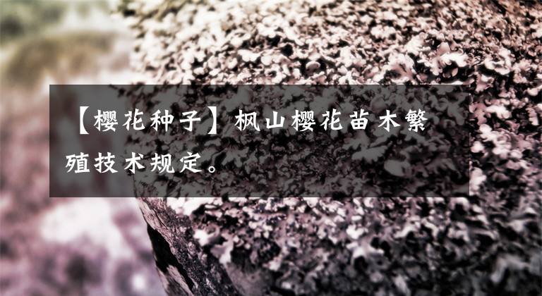 【樱花种子】枫山樱花苗木繁殖技术规定。