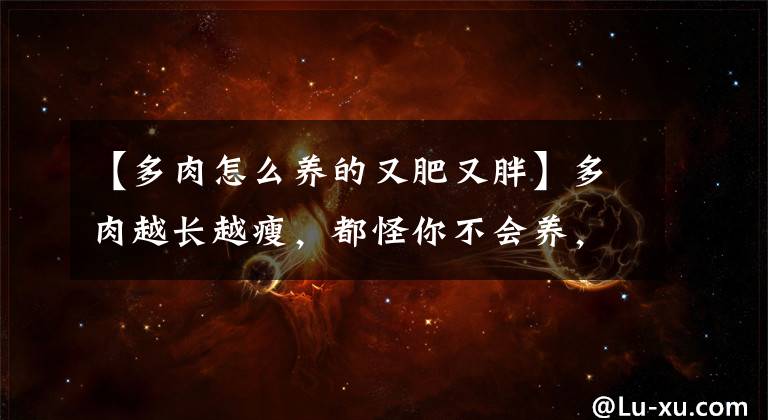 【多肉怎么养的又肥又胖】多肉越长越瘦，都怪你不会养，2招就能胖起来！