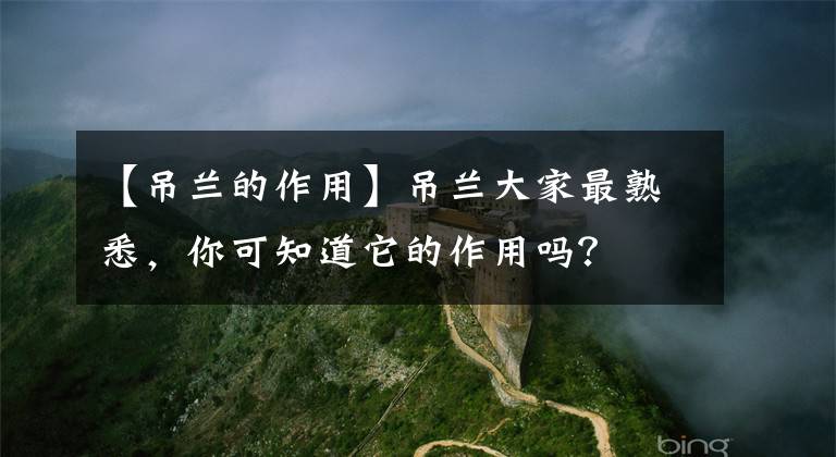 【吊兰的作用】吊兰大家最熟悉，你可知道它的作用吗？