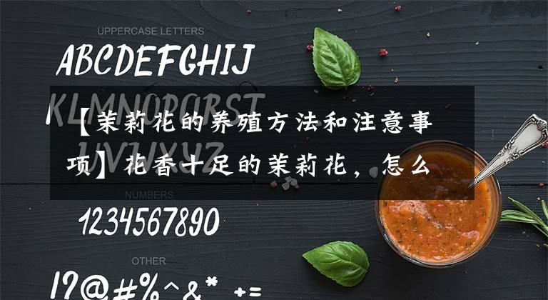 【茉莉花的养殖方法和注意事项】花香十足的茉莉花，怎么才能养好？有“5件事”要注意