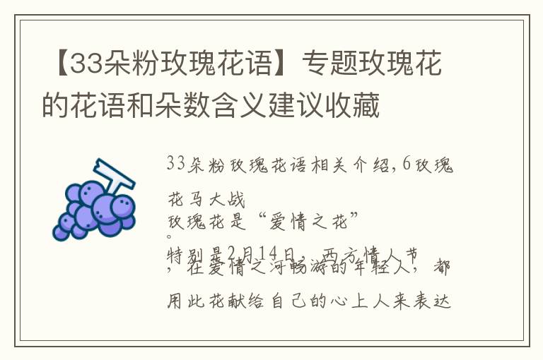 【33朵粉玫瑰花语】专题玫瑰花的花语和朵数含义建议收藏