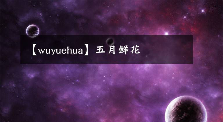 【wuyuehua】五月鲜花