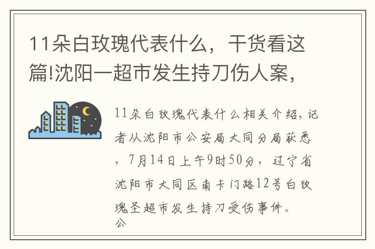 11朵白玫瑰代表什么，干货看这篇!沈阳一超市发生持刀伤人案，嫌疑人可能携带凶器，警方正在抓捕