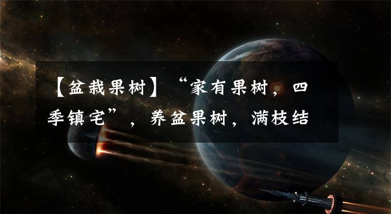 【盆栽果树】“家有果树，四季镇宅”，养盆果树，满枝结果有吉祥好兆头