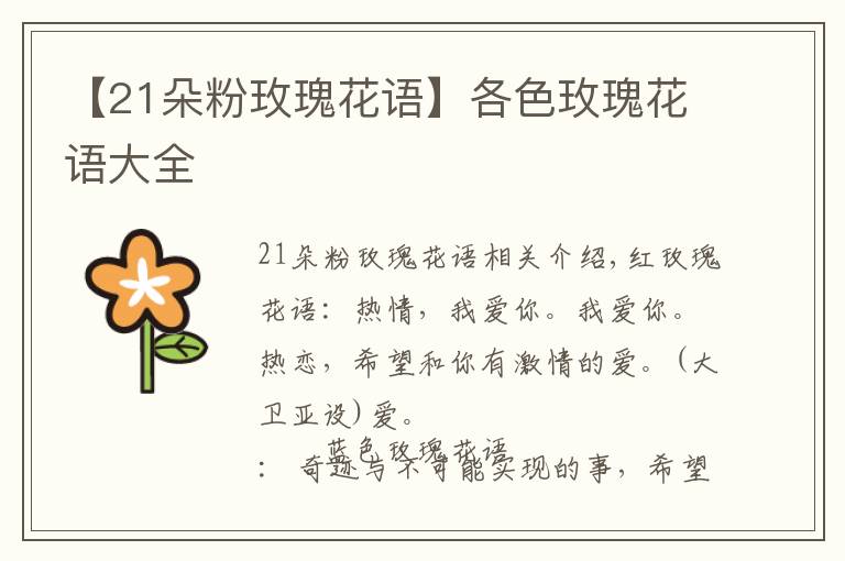 【21朵粉玫瑰花语】各色玫瑰花语大全