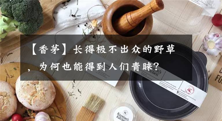 【香茅】长得极不出众的野草，为何也能得到人们青睐？