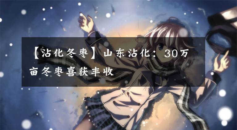 【沾化冬枣】山东沾化：30万亩冬枣喜获丰收