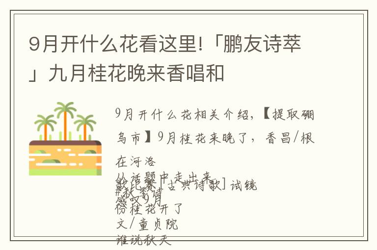 9月开什么花看这里!「鹏友诗萃」九月桂花晚来香唱和文章配图