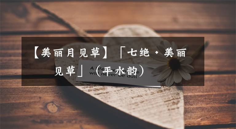 【美丽月见草】「七绝·美丽月见草」（平水韵）