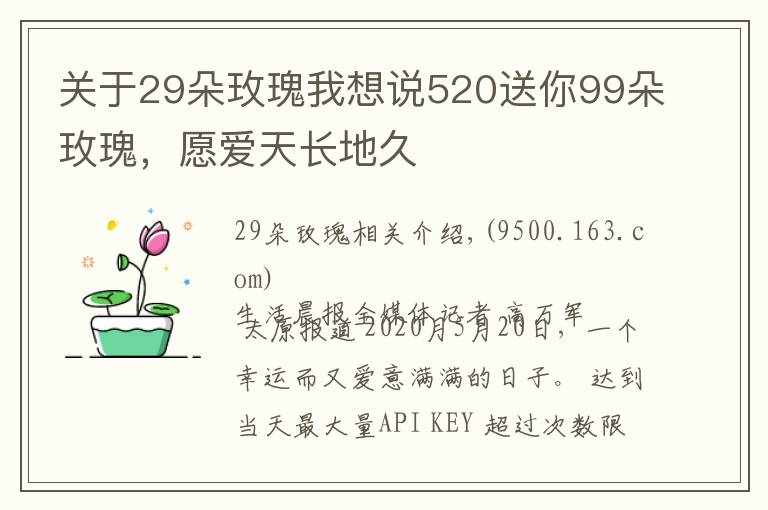 关于29朵玫瑰我想说520送你99朵玫瑰，愿爱天长地久