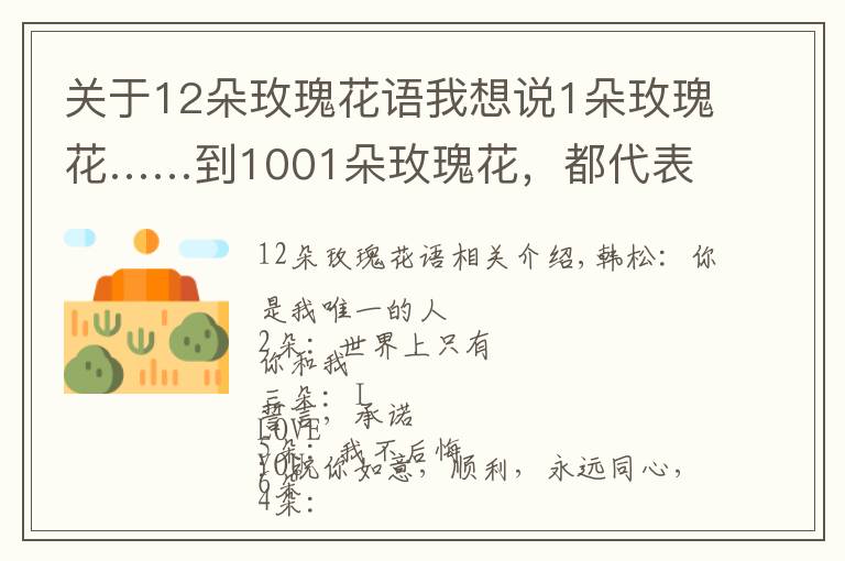 关于12朵玫瑰花语我想说1朵玫瑰花……到1001朵玫瑰花，都代表什么，你知道吗？