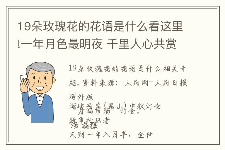 19朵玫瑰花的花语是什么看这里!一年月色最明夜 千里人心共赏时