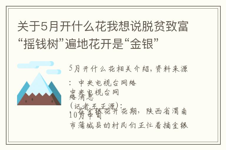 关于5月开什么花我想说脱贫致富“摇钱树”遍地花开是“金银”