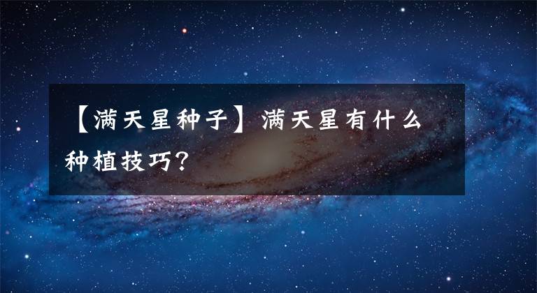 【满天星种子】满天星有什么种植技巧？