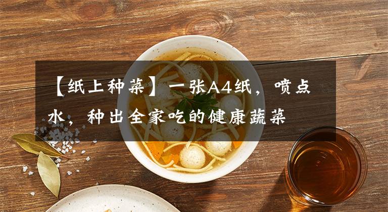 【纸上种菜】一张A4纸，喷点水，种出全家吃的健康蔬菜