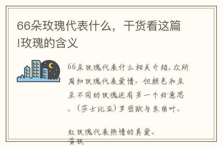 66朵玫瑰代表什么，干货看这篇!玫瑰的含义