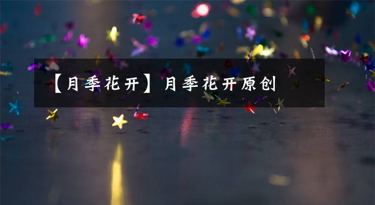 【月季花开】月季花开原创