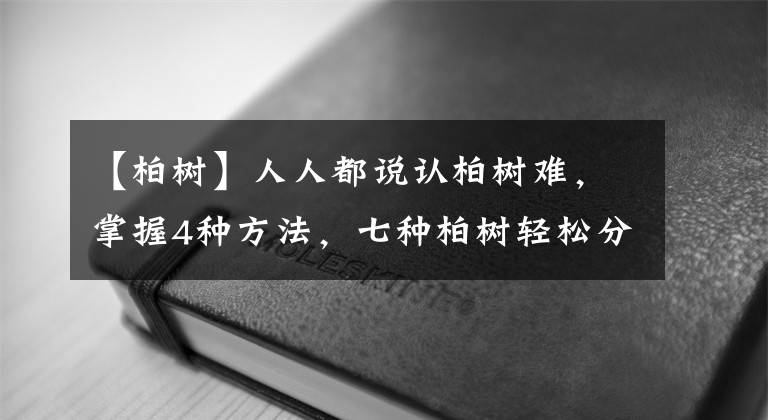 【柏树】人人都说认柏树难，掌握4种方法，七种柏树轻松分辨清楚！