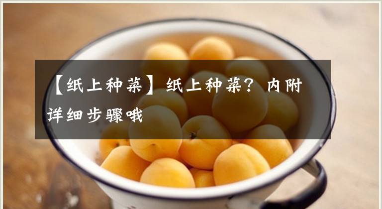 【纸上种菜】纸上种菜？内附详细步骤哦