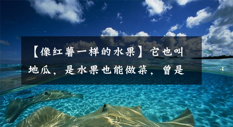 【像红薯一样的水果】它也叫地瓜，是水果也能做菜，曾是重要经济作物，如今被边缘化了