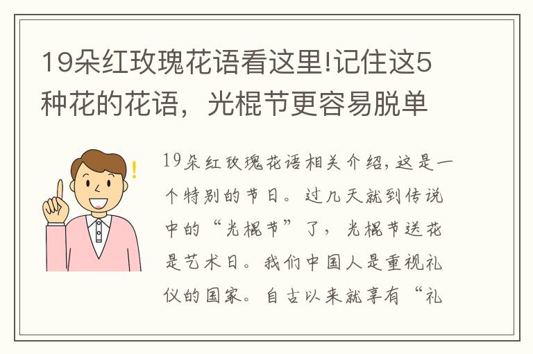 19朵红玫瑰花语看这里!记住这5种花的花语，光棍节更容易脱单，送花也不会迷惘文章配图