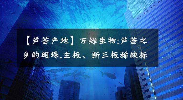 【芦荟产地】万绿生物:芦荟之乡的明珠,主板、新三板稀缺标的