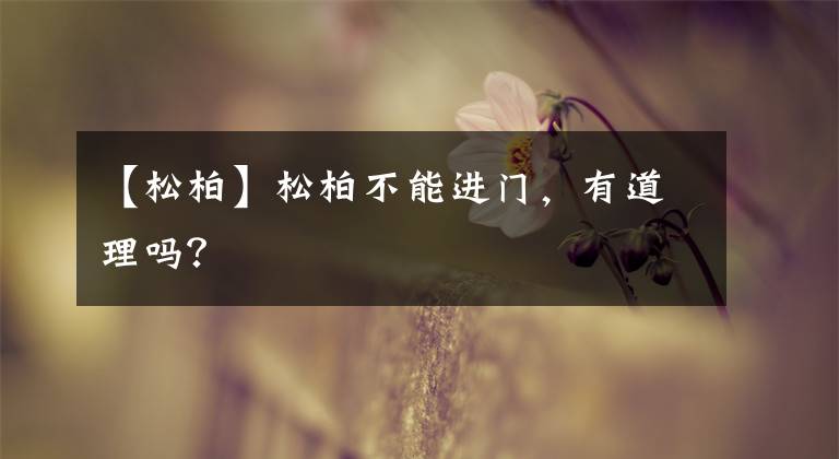 【松柏】松柏不能进门，有道理吗？