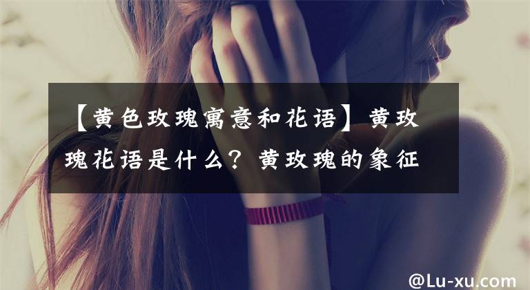 【黄色玫瑰寓意和花语】黄玫瑰花语是什么？黄玫瑰的象征意义，黄玫瑰适合送什么人？