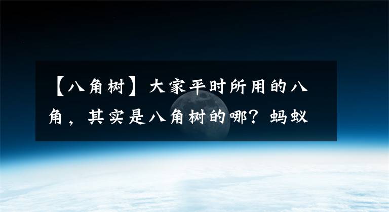 【八角树】大家平时所用的八角，其实是八角树的哪？蚂蚁新村最新答案