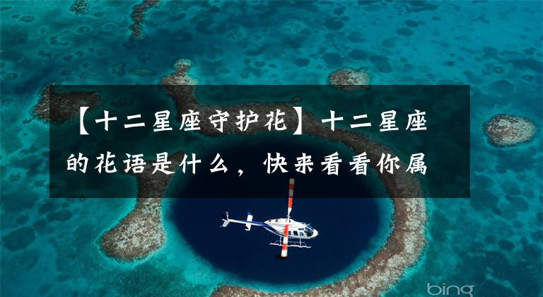 【十二星座守护花】十二星座的花语是什么，快来看看你属于什么花。文章配图