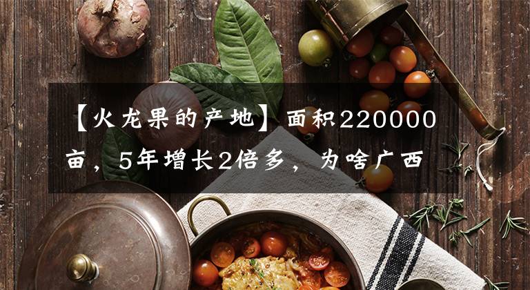 【火龙果的产地】面积220000亩，5年增长2倍多，为啥广西成为全国最大火龙果产区？