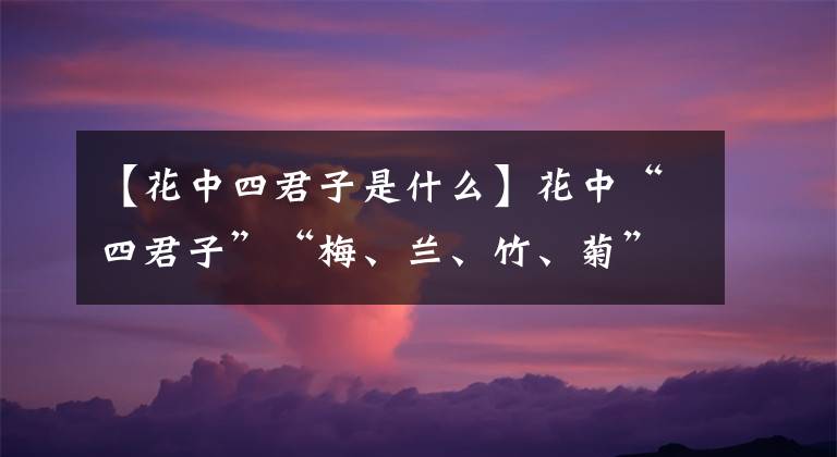 【花中四君子是什么】花中“四君子”“梅、兰、竹、菊”，都代表了什么样的性格？