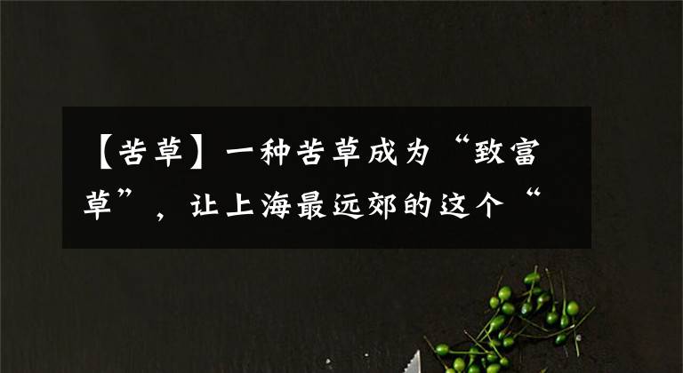 【苦草】一种苦草成为“致富草”，让上海最远郊的这个“穷村”蜕变