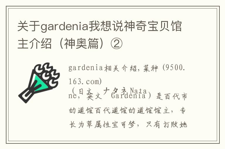 关于gardenia我想说神奇宝贝馆主介绍（神奥篇）②