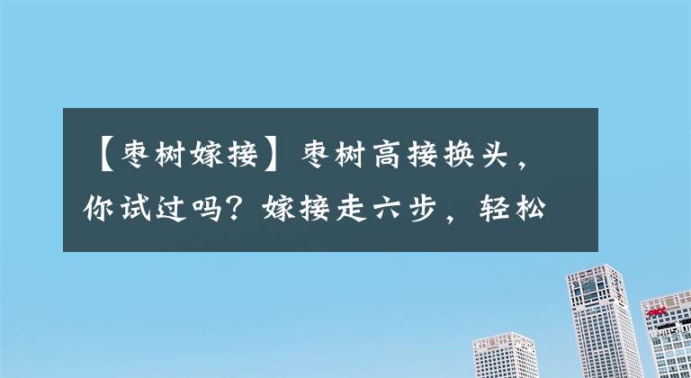 【枣树嫁接】枣树高接换头，你试过吗？嫁接走六步，轻松掌握