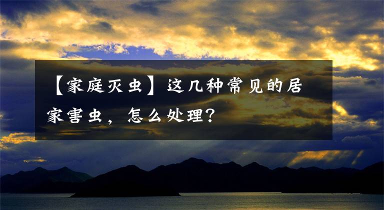 【家庭灭虫】这几种常见的居家害虫，怎么处理？