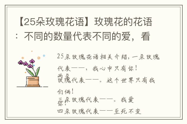 【25朵玫瑰花语】玫瑰花的花语：不同的数量代表不同的爱，看着都好甜蜜好幸福文章配图